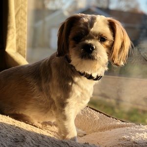 Meet your Posher, Mirmiranda